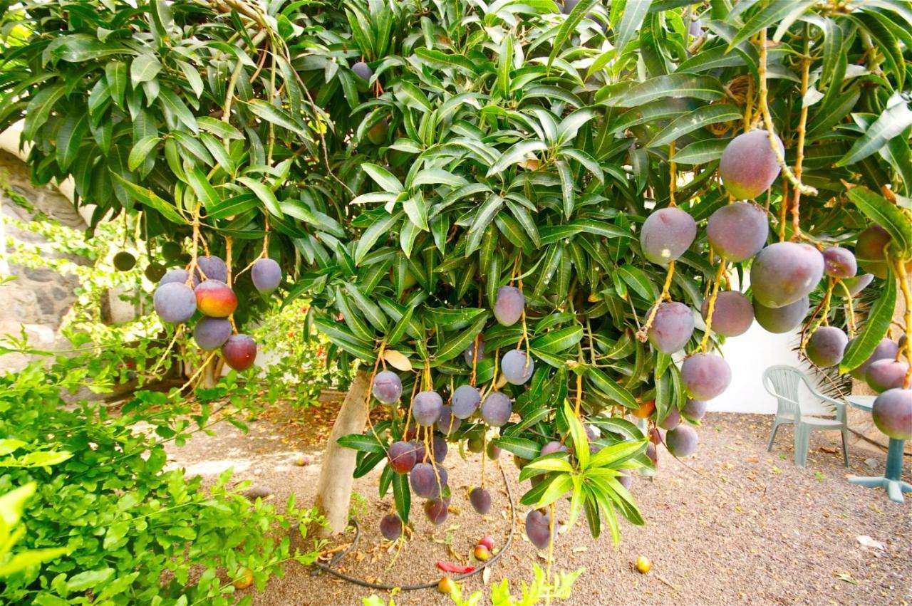 Finca Gerardo Miraflor La Playa de la Calera Bagian luar foto